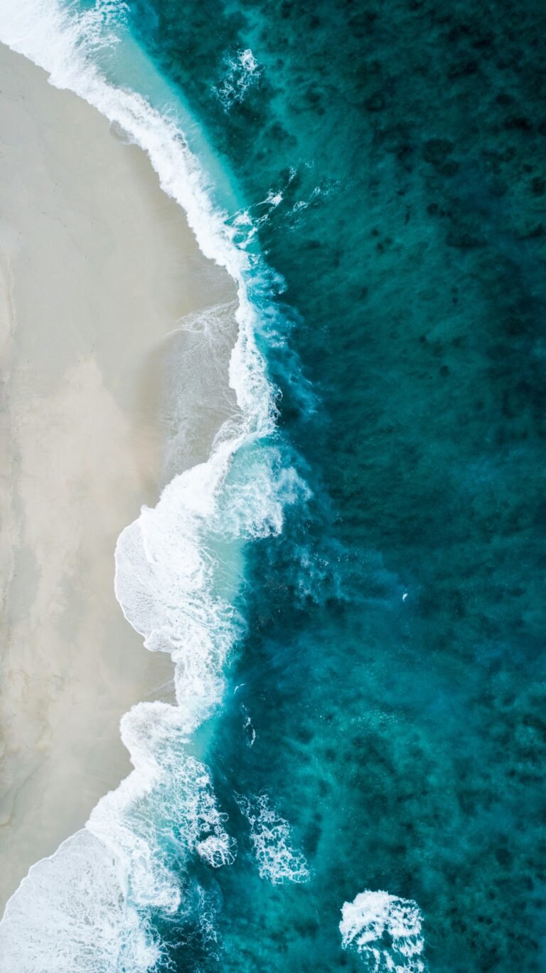 Edoaria supports Marine Wildlife by giving back 2% of sales