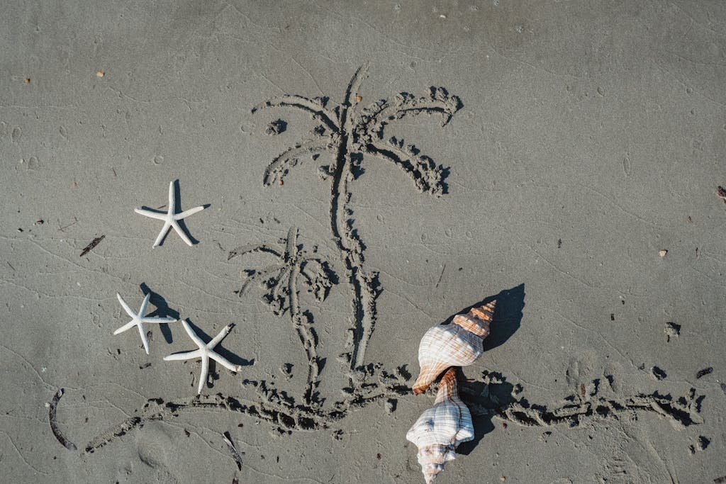 Edoaria dedicated Collection to protect marine wild life